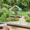 BirdClose Chalet window bird feeder outdoor
