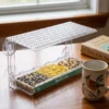 BirdClose Horizon window bird feeder indoor