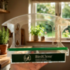 BirdClose Haven window bird feeder indoor BirdClose Haven window bird feeder indoor