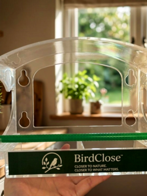 BirdClose Haven window bird feeder indoor
