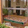 BirdClose Horizon window bird feeder outdoor