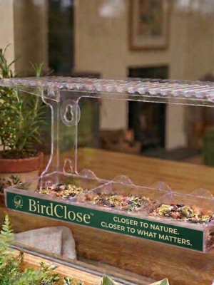 BirdClose Haven window bird feeder outdoor
