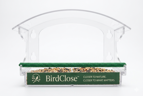 BirdClose Haven window bird feeder product BirdClose Haven window bird feeder product