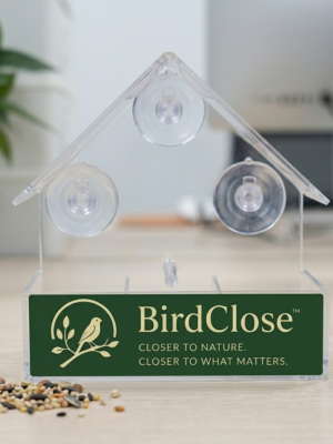 BirdClose Lodge window bird feeder indoor 1