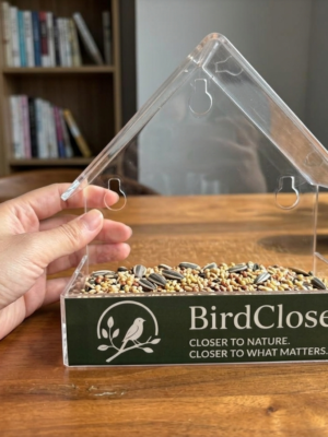 BirdClose Lodge window bird feeder indoor 2 BirdClose Lodge window bird feeder indoor 2