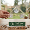 BirdClose Lodge window bird feeder indoor