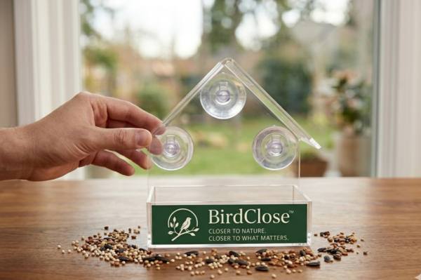 BirdClose Lodge window bird feeder indoor